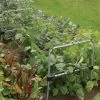 Agriframes Multi Purpose Grow Through Frame