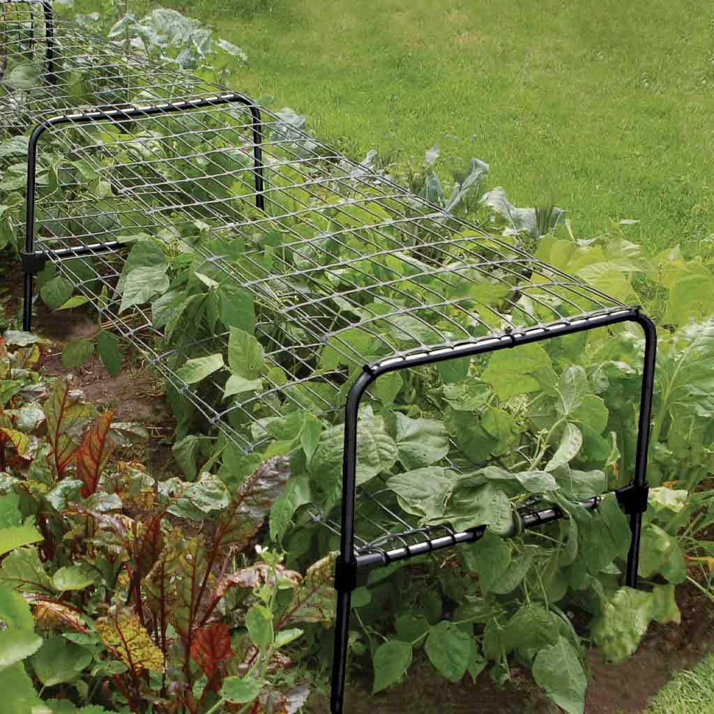 Agriframes Multi Purpose Grow Through Frame 5 Agriframes Multi Purpose Grow Through Frame