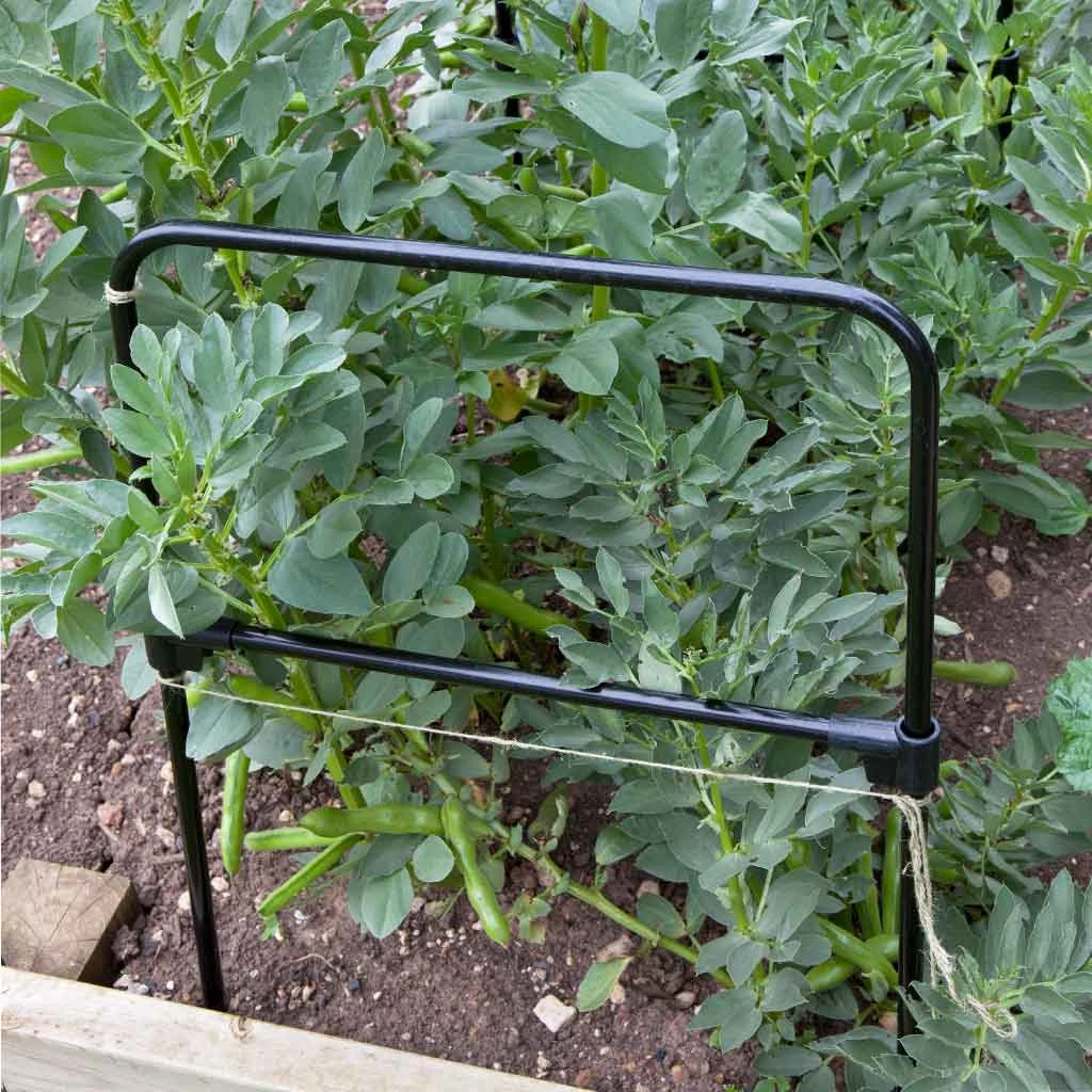 Agriframes Multi Purpose Grow Through Frame 6 Agriframes Multi Purpose Grow Through Frame