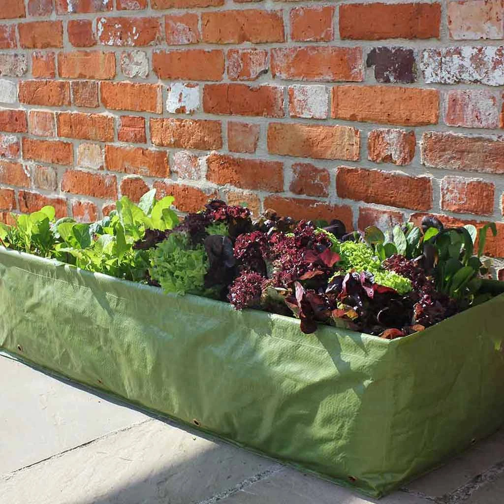 Agriframes STYLES & COLLECTIONS Multipurpose Growbag Planter 5 Agriframes STYLES & COLLECTIONS Multipurpose Growbag Planter