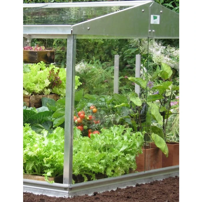 Agriframes New Cold Frame STYLES & COLLECTIONS 4 Agriframes New Cold Frame STYLES & COLLECTIONS