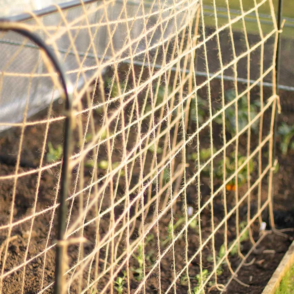 Agriframes Pea & Bean Hoops STYLES & COLLECTIONS 5 Agriframes Pea & Bean Hoops STYLES & COLLECTIONS