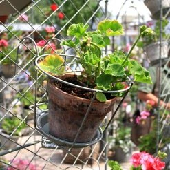 Agriframes STYLES & COLLECTIONS Elegance Pot Holder