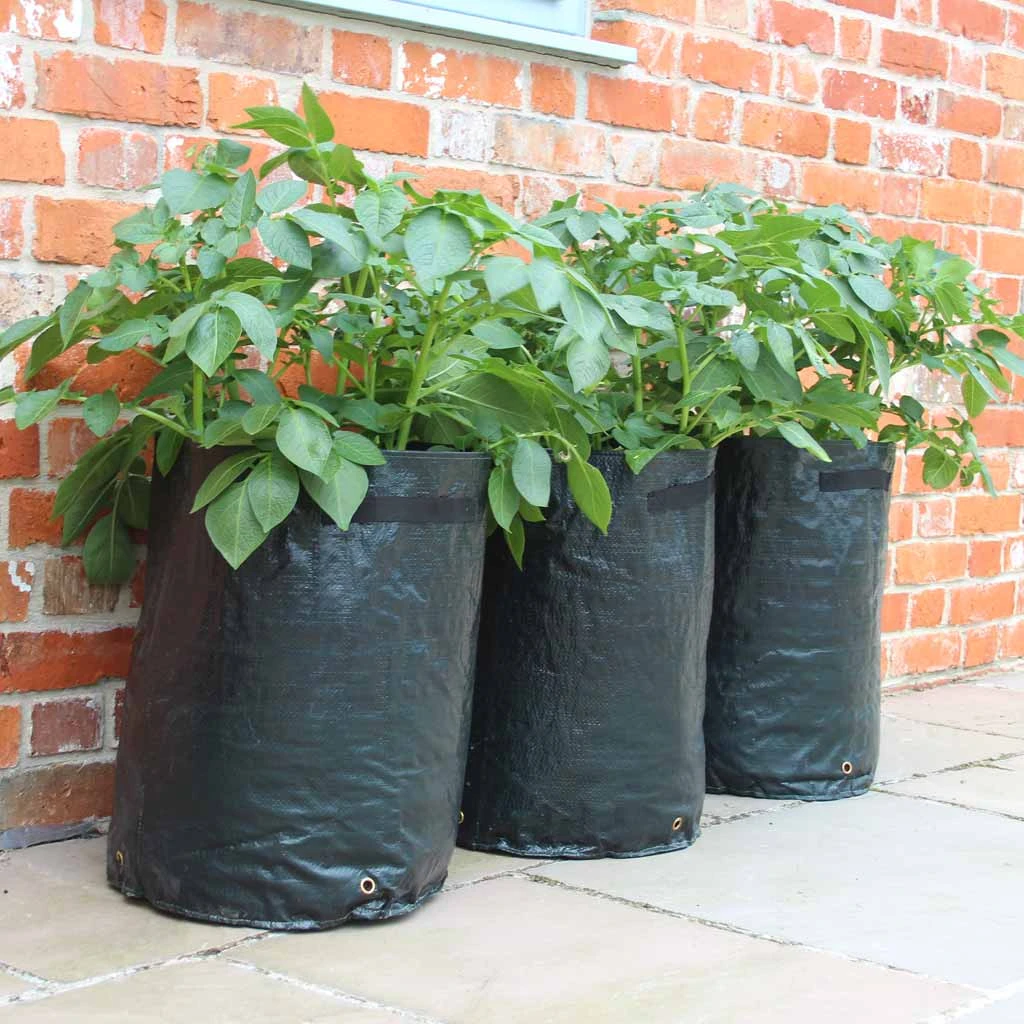 Agriframes Potato Patio Planter (Pack Of 3) 3 Agriframes Potato Patio Planter (Pack Of 3)
