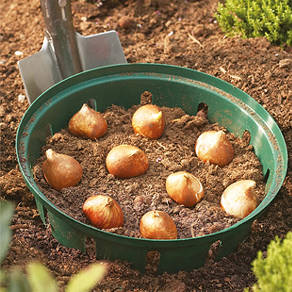 Agriframes Bulb Baskets STYLES & COLLECTIONS 3 Agriframes Bulb Baskets STYLES & COLLECTIONS