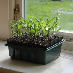 Agriframes STYLES & COLLECTIONS Rapid Rootrainers