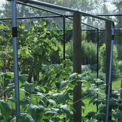 Agriframes Raspberry Support STYLES & COLLECTIONS