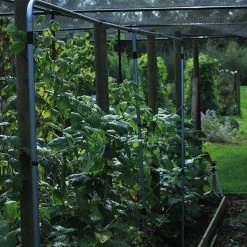 Agriframes Raspberry Support STYLES & COLLECTIONS