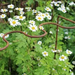 Agriframes STYLES & COLLECTIONS Elegance Ripple Plant Supports