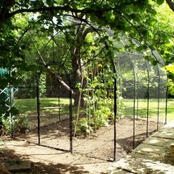 Agriframes STYLES & COLLECTIONS Roman Fruit Cage