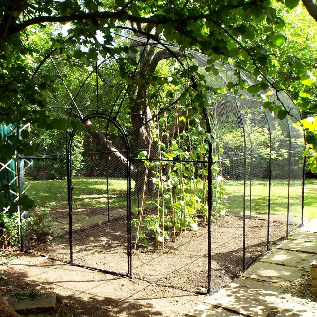 Agriframes STYLES & COLLECTIONS Roman Fruit Cage 4 Agriframes STYLES & COLLECTIONS Roman Fruit Cage