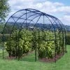 Agriframes STYLES & COLLECTIONS Roman Fruit Cage 1 Agriframes STYLES & COLLECTIONS Roman Fruit Cage