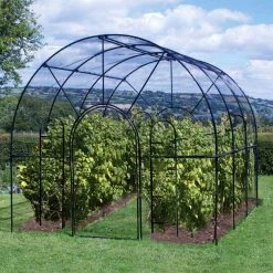 Agriframes STYLES & COLLECTIONS Roman Fruit Cage