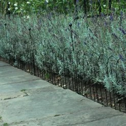 Agriframes Round Lawn & Border Edging 9 Agriframes Round Lawn & Border Edging