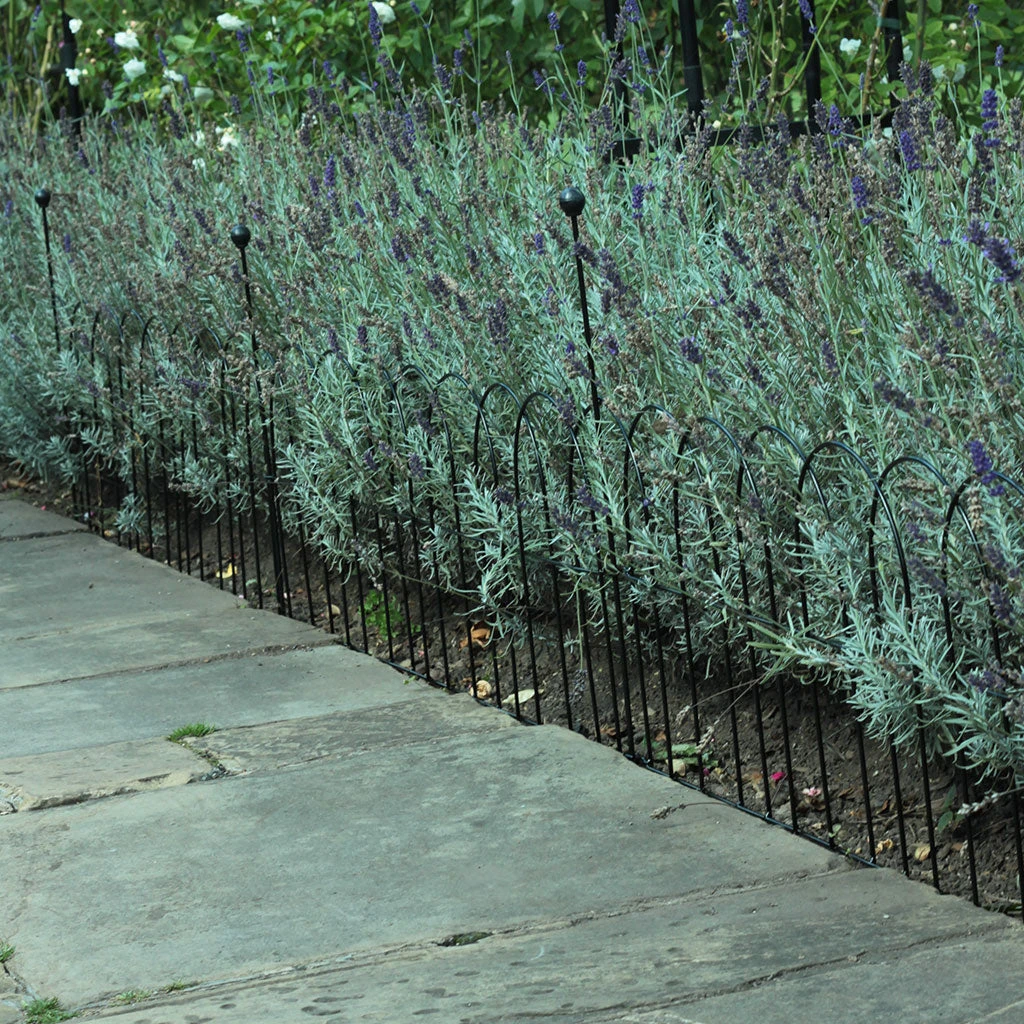 Agriframes Round Lawn & Border Edging 6 Agriframes Round Lawn & Border Edging