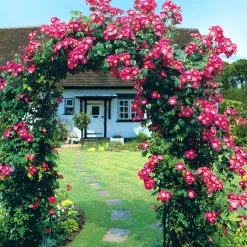 Agriframesuk Round Arch STYLES & COLLECTIONS 23 Agriframesuk Round Arch STYLES & COLLECTIONS