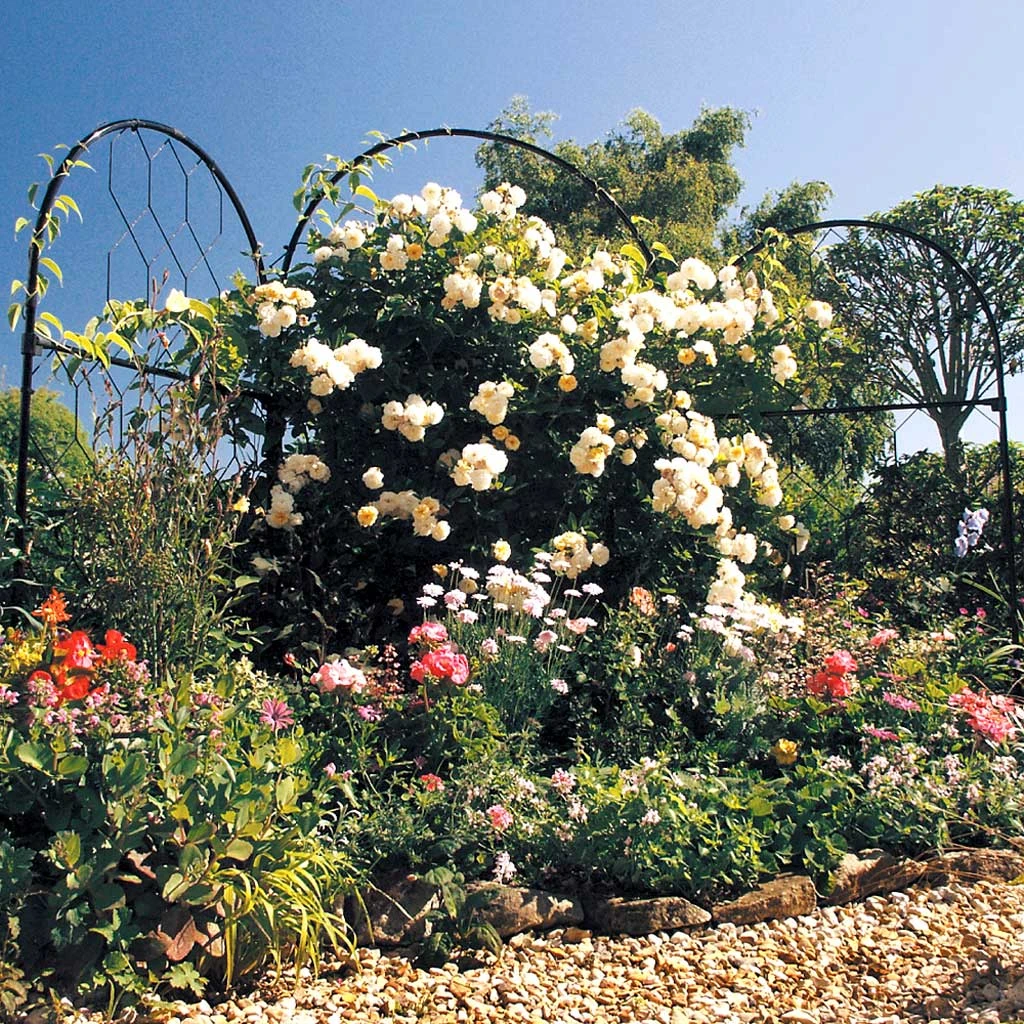 Agriframes Round Screen SCREENS 4 Agriframes Round Screen SCREENS