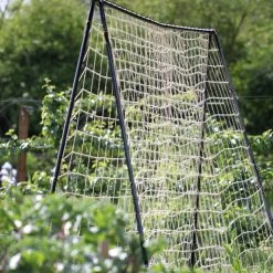 Agriframes STYLES & COLLECTIONS Runner Bean Frame