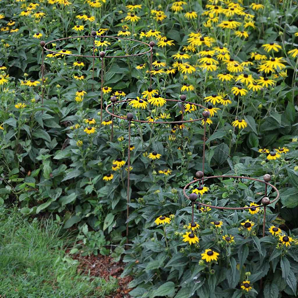 Agriframes STYLES & COLLECTIONS Circular Plant Support - Set Of 3 - S/M/L 5 Agriframes STYLES & COLLECTIONS Circular Plant Support - Set Of 3 - S/M/L