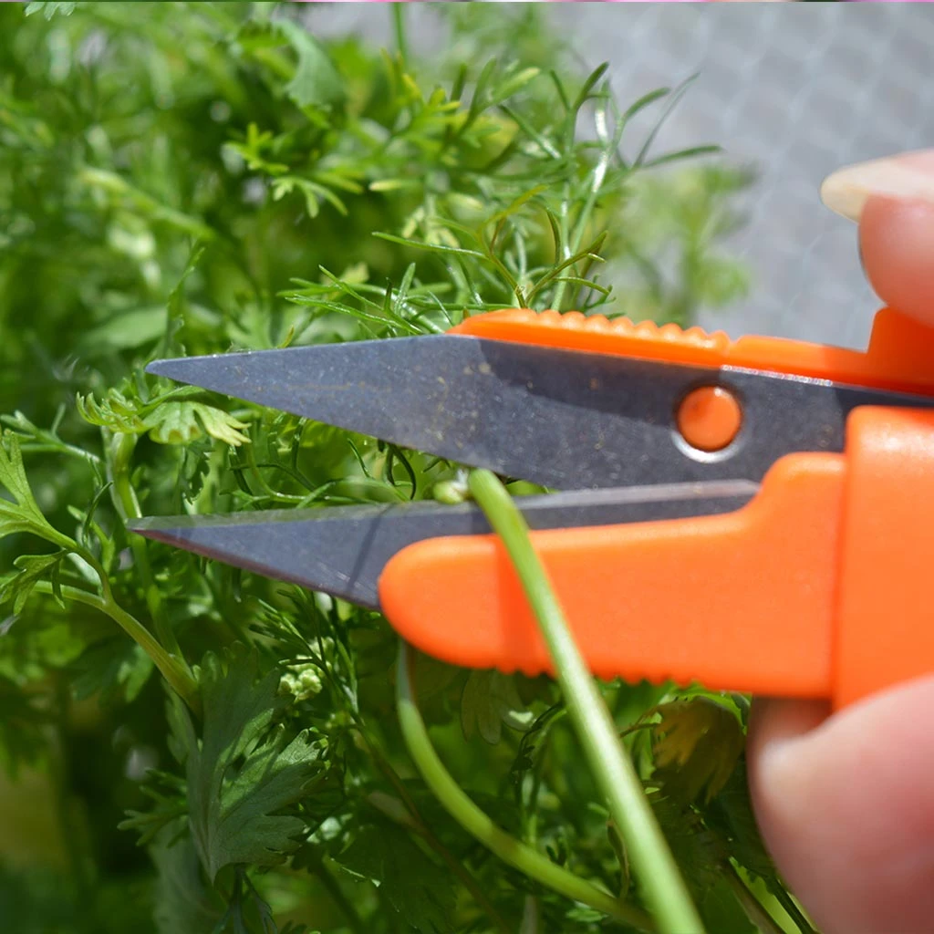 Agriframes Snip-It Deluxe STYLES & COLLECTIONS 6 Agriframes Snip-It Deluxe STYLES & COLLECTIONS