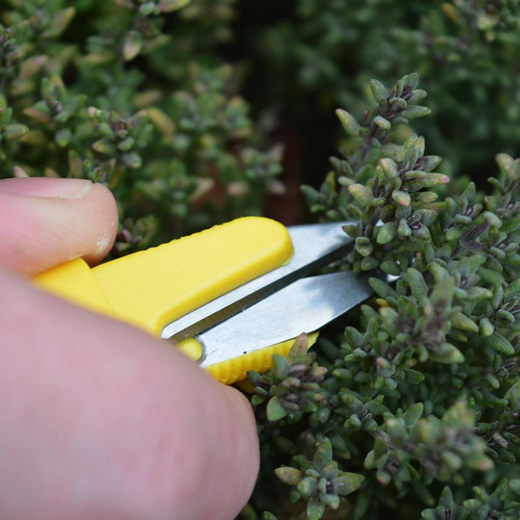 Agriframes Snip-It Deluxe STYLES & COLLECTIONS 5 Agriframes Snip-It Deluxe STYLES & COLLECTIONS