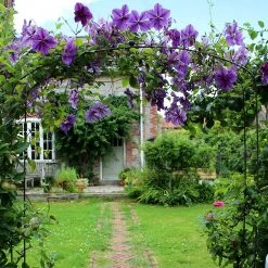 Agriframes Elegance Fine Arch