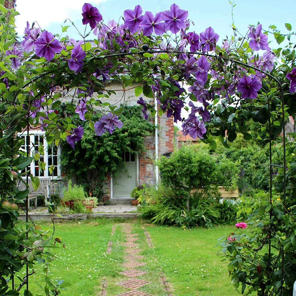 Agriframes Elegance Fine Arch 4 Agriframes Elegance Fine Arch