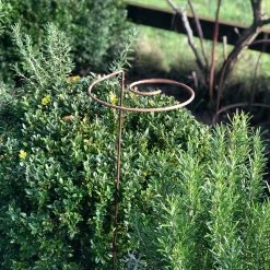 Agriframes STYLES & COLLECTIONS Spiral Plant Support, Rustic - Set Of 3 9 Agriframes STYLES & COLLECTIONS Spiral Plant Support, Rustic - Set Of 3