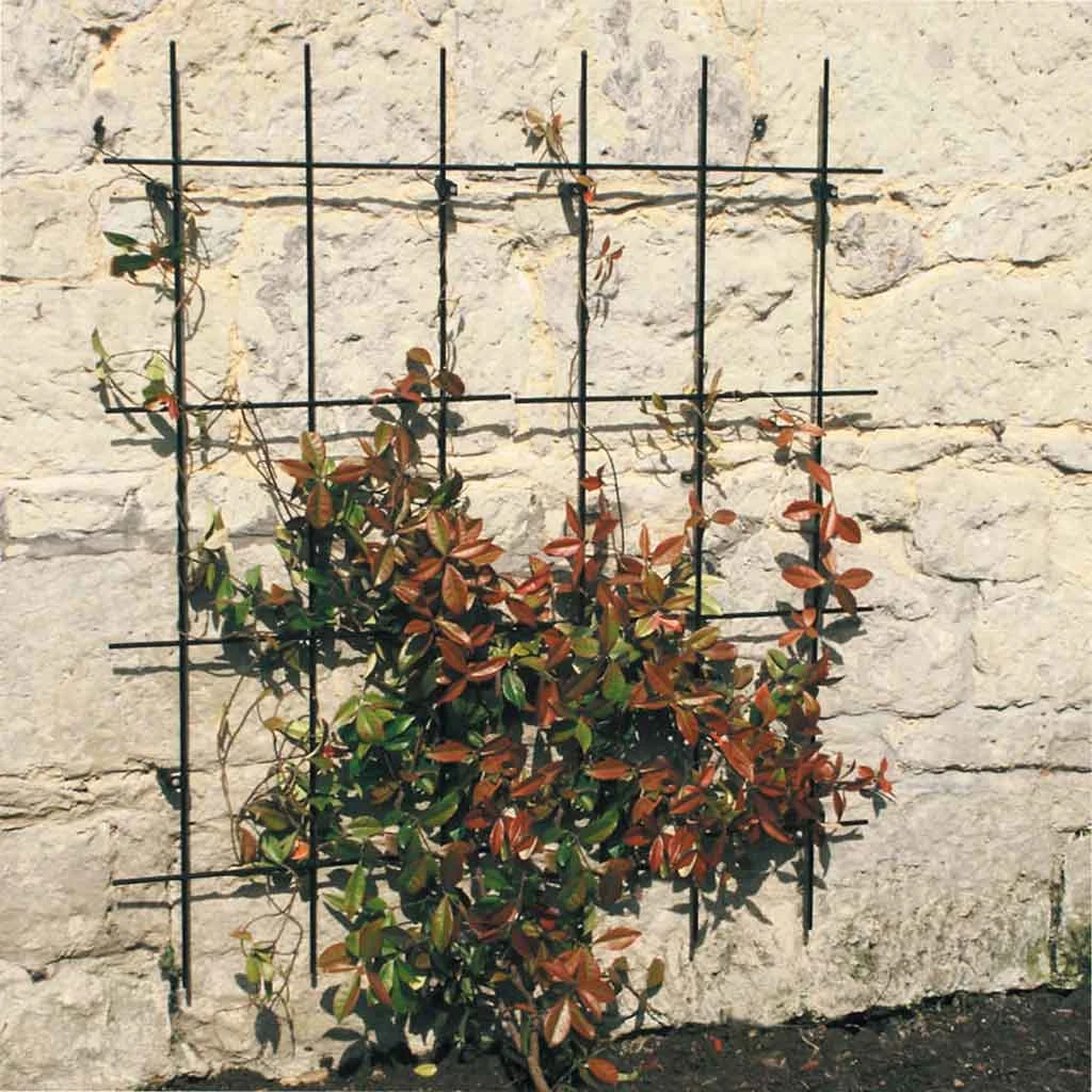 Agriframes STYLES & COLLECTIONS Square Trellis 3 Agriframes STYLES & COLLECTIONS Square Trellis