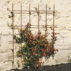 Agriframes STYLES & COLLECTIONS Square Trellis