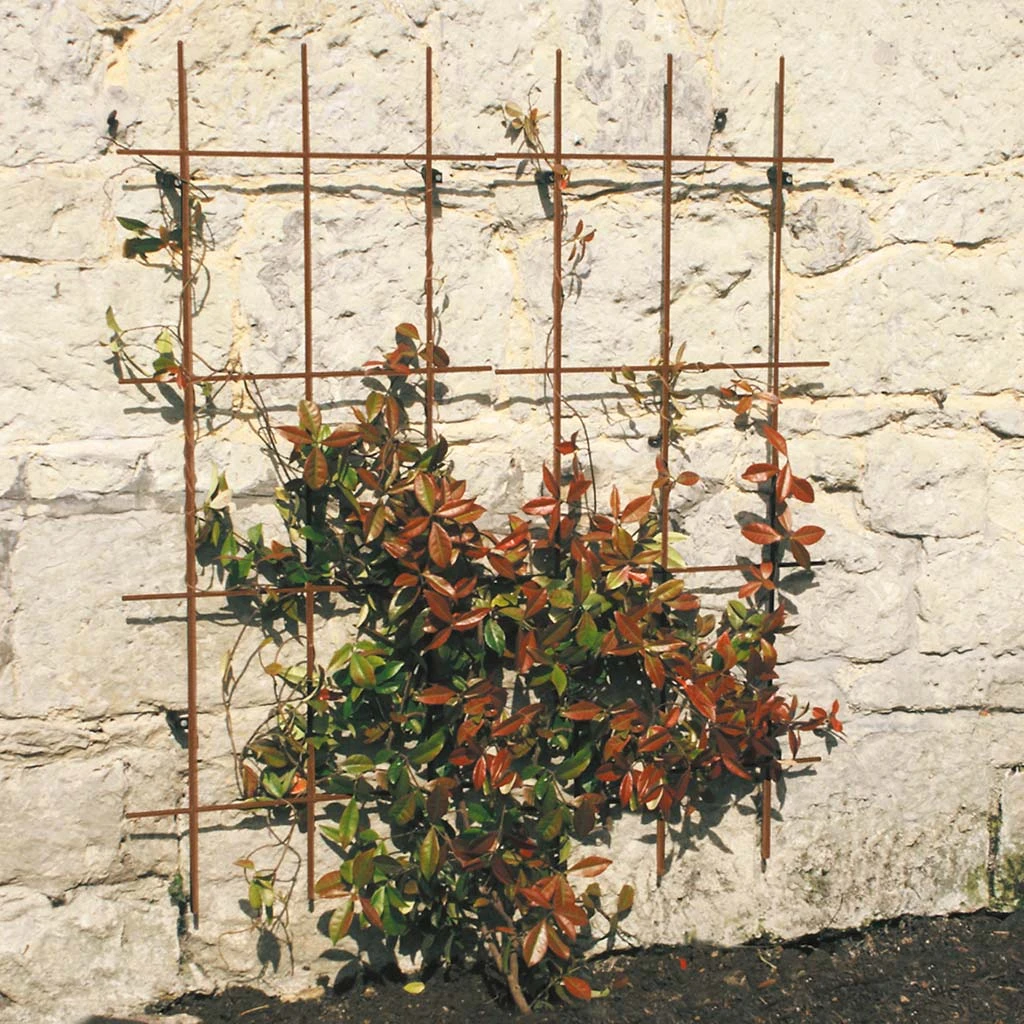 Agriframes STYLES & COLLECTIONS Square Trellis 4 Agriframes STYLES & COLLECTIONS Square Trellis
