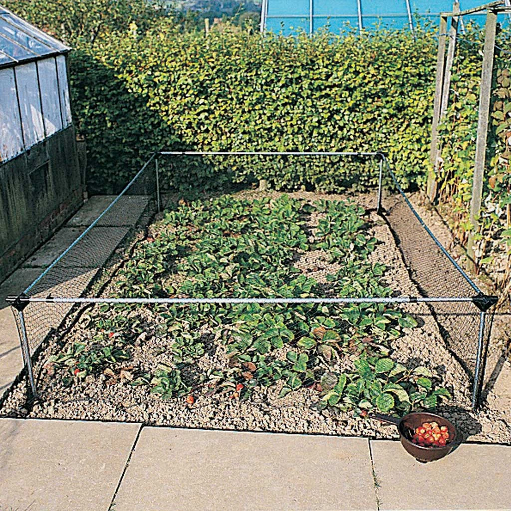 Agriframes Strawberry & Vegetable Cage 4 Agriframes Strawberry & Vegetable Cage