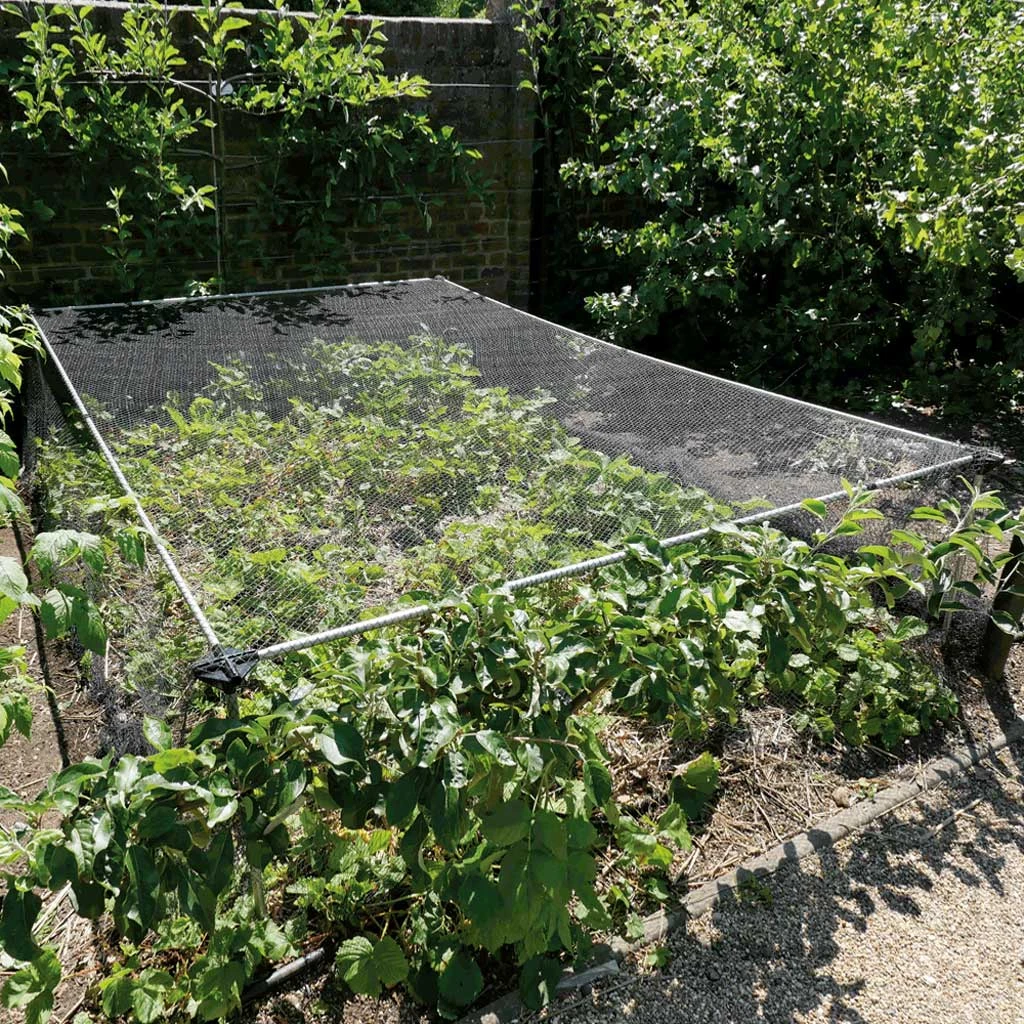 Agriframes Strawberry & Vegetable Cage 3 Agriframes Strawberry & Vegetable Cage