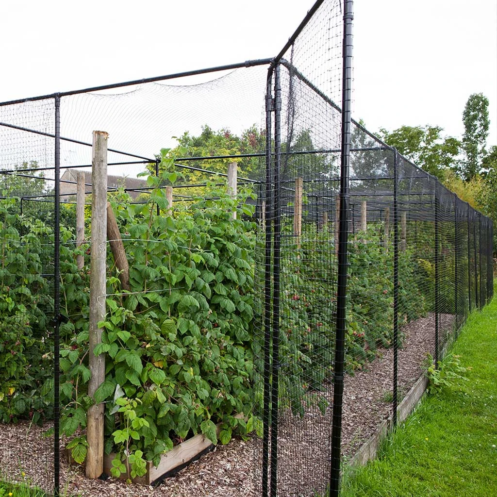 Agriframes Superior Fruit Cage - Traditional Matt Black 6 Agriframes Superior Fruit Cage - Traditional Matt Black