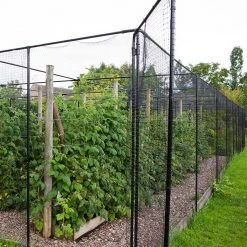 Agriframes Fruit Cage Door STYLES & COLLECTIONS