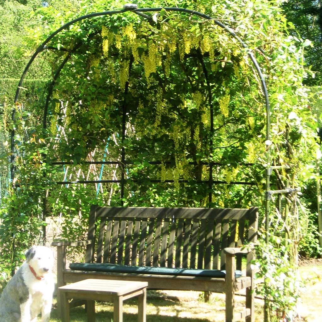 Agriframes Sussex Arbour ARBOURS 4 Agriframes Sussex Arbour ARBOURS