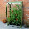 Agriframes Tomato Crop Booster