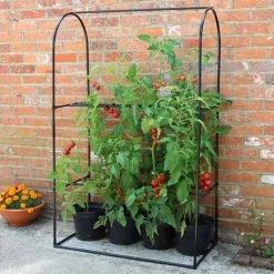 Agriframes Tomato Crop Booster