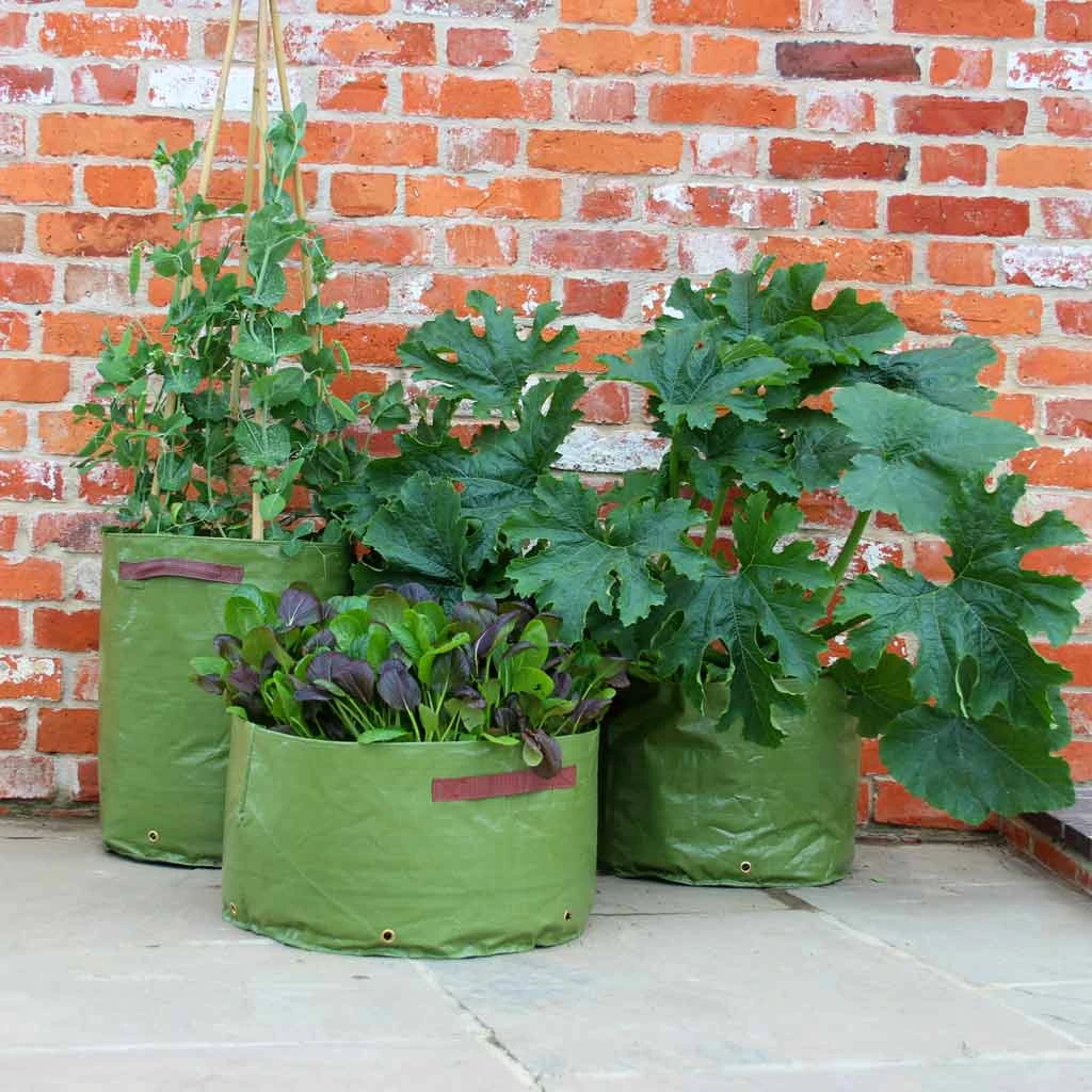 Agriframes Vegetable Patio Planter (Pack Of 3) STYLES & COLLECTIONS 4 Agriframes Vegetable Patio Planter (Pack Of 3) STYLES & COLLECTIONS