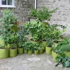 Agriframes Vigoroot™ Pots & Planters