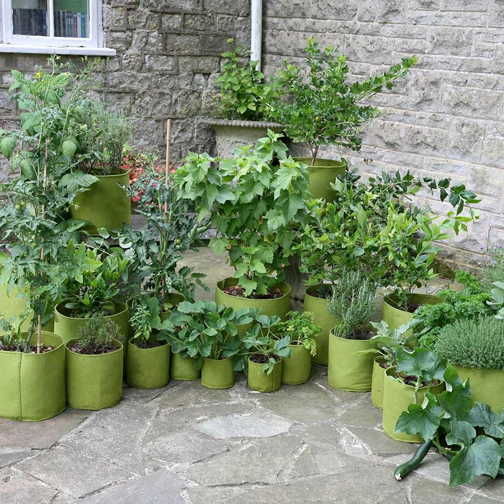 Agriframes Vigoroot™ Pots & Planters 3 Agriframes Vigoroot™ Pots & Planters