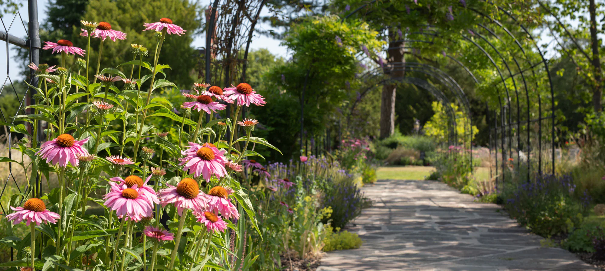 Deals Agriframes Store 72 Deals Agriframes Store -AGRIFRAMES Sales b4